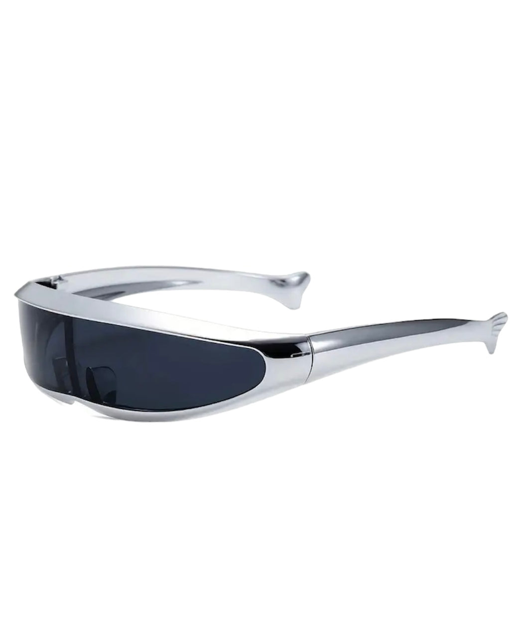 Zenon Sunglasses- Silver/Black